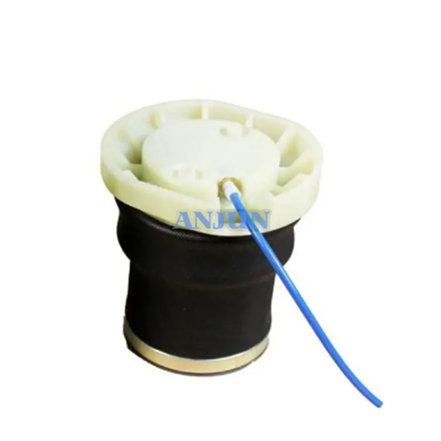 SD0009 1331728 425383268 