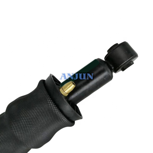 rear air suspension spring